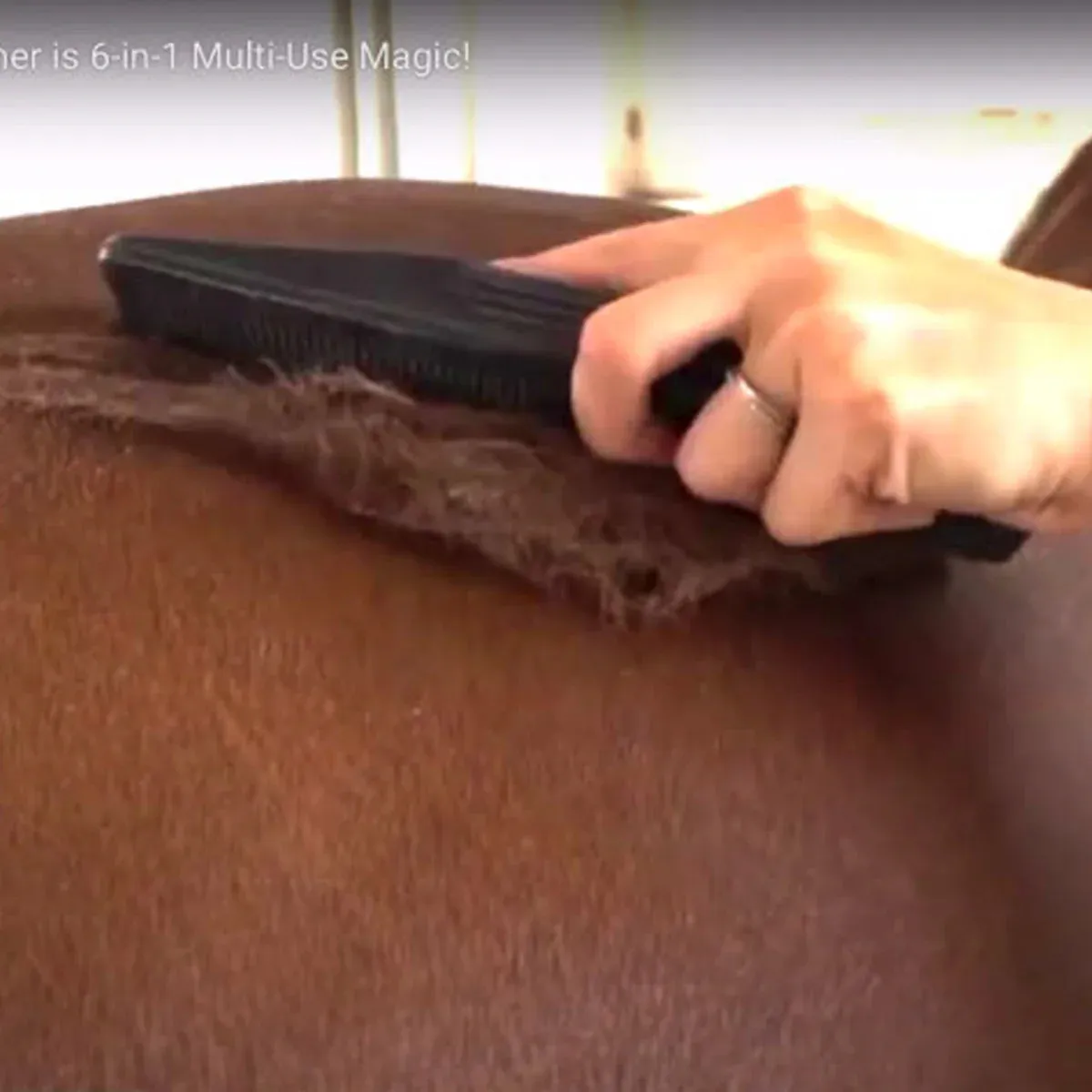 StripHair Gentle Groomer