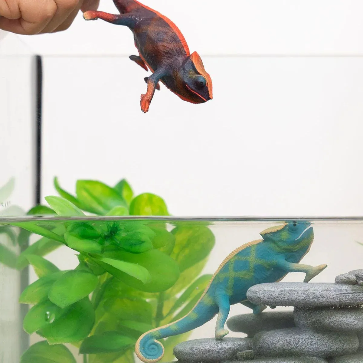 Toy | Chameleon